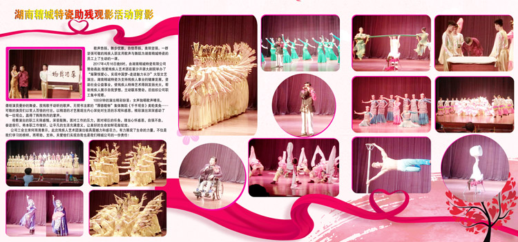 湖南精城贊助燕趙·恒愛殘疾人藝術(shù)團圓滿演出